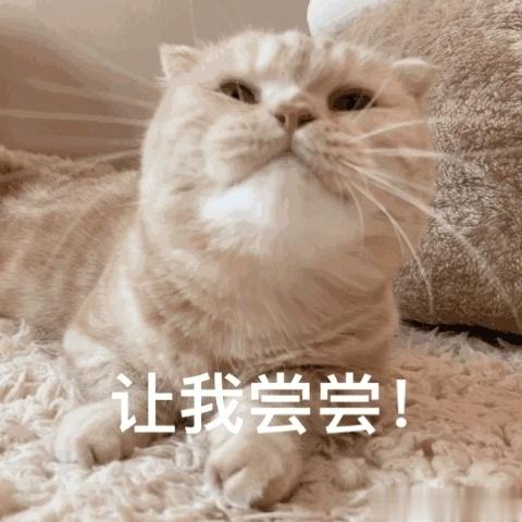 #当西游记遇上西游鸡#好吃不好吃？尝尝才知道[哈哈][哈哈][哈哈] ​​​