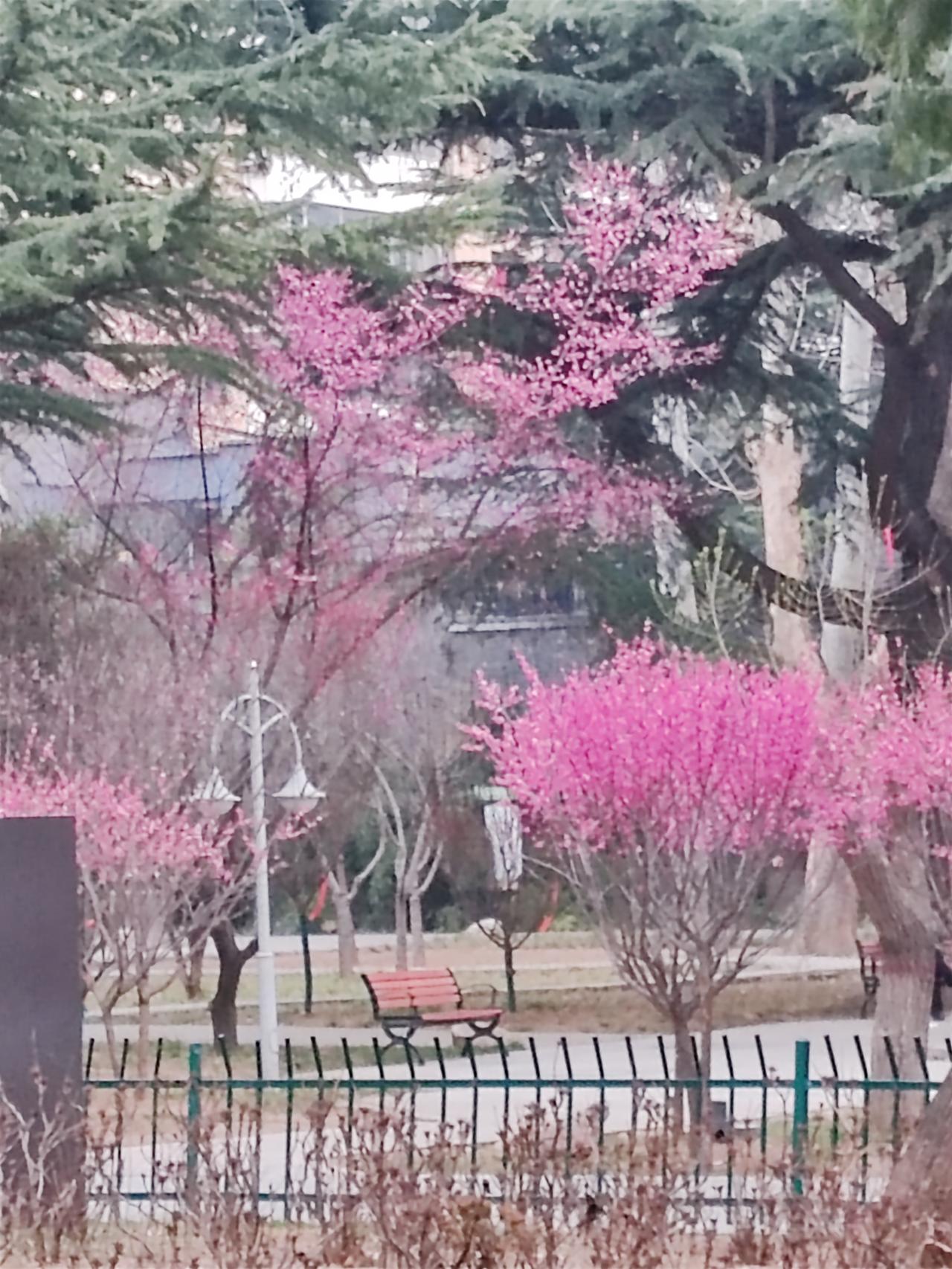 对联堪称我国文化中的瑰宝，妙对既具文采，又有深厚的历史底蕴。就如大清状元毕沅，其