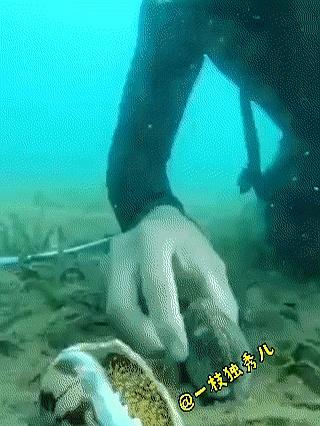 你说啥东西扎一下就能让人瞬间老实？
我告诉你，就是那玩意儿——仙人掌！
我上周手