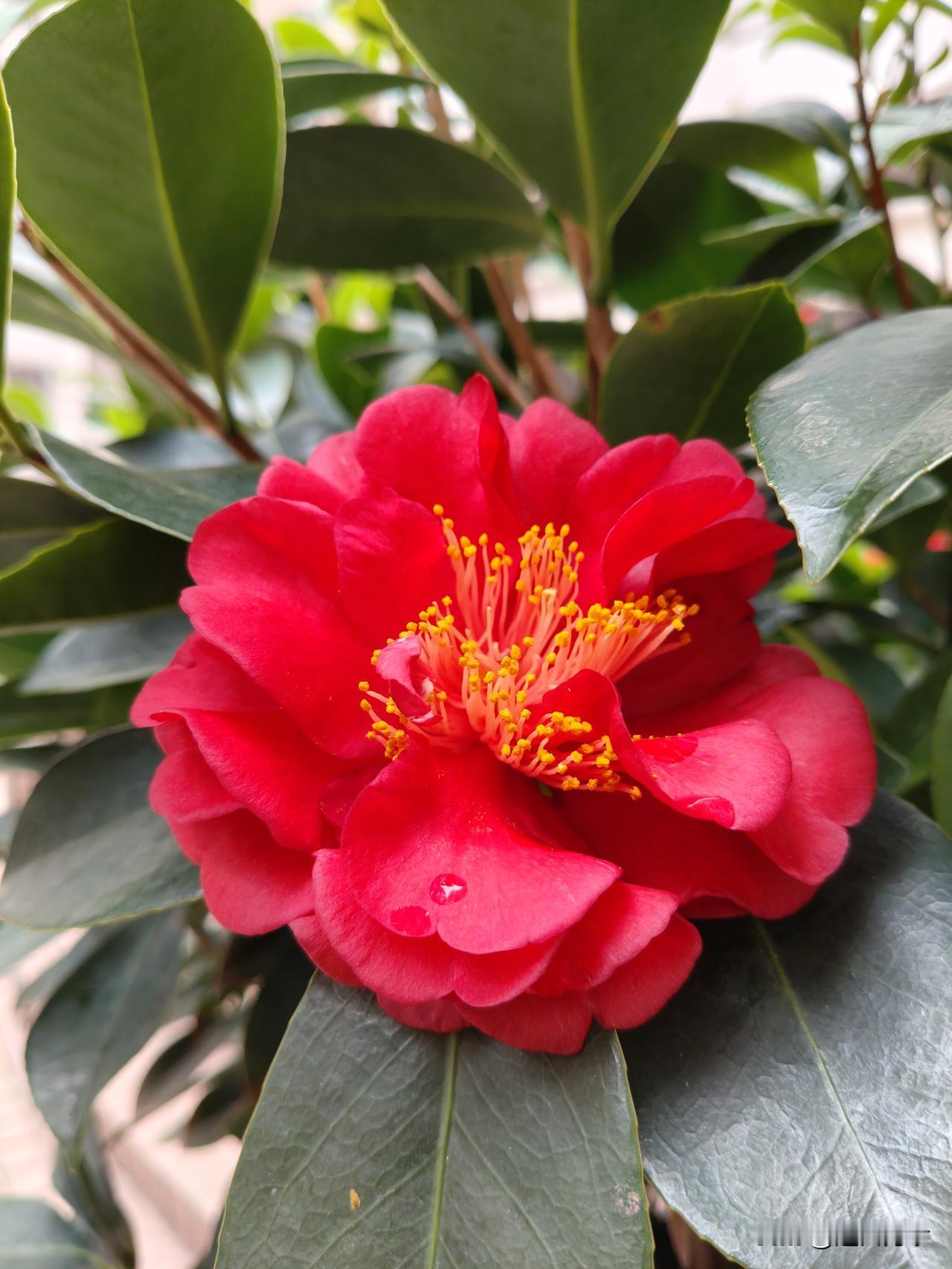 以前朋友圈里那些发美颜照的人，现在加码了，美颜照加AI文案，变成妥妥的颜才大美女