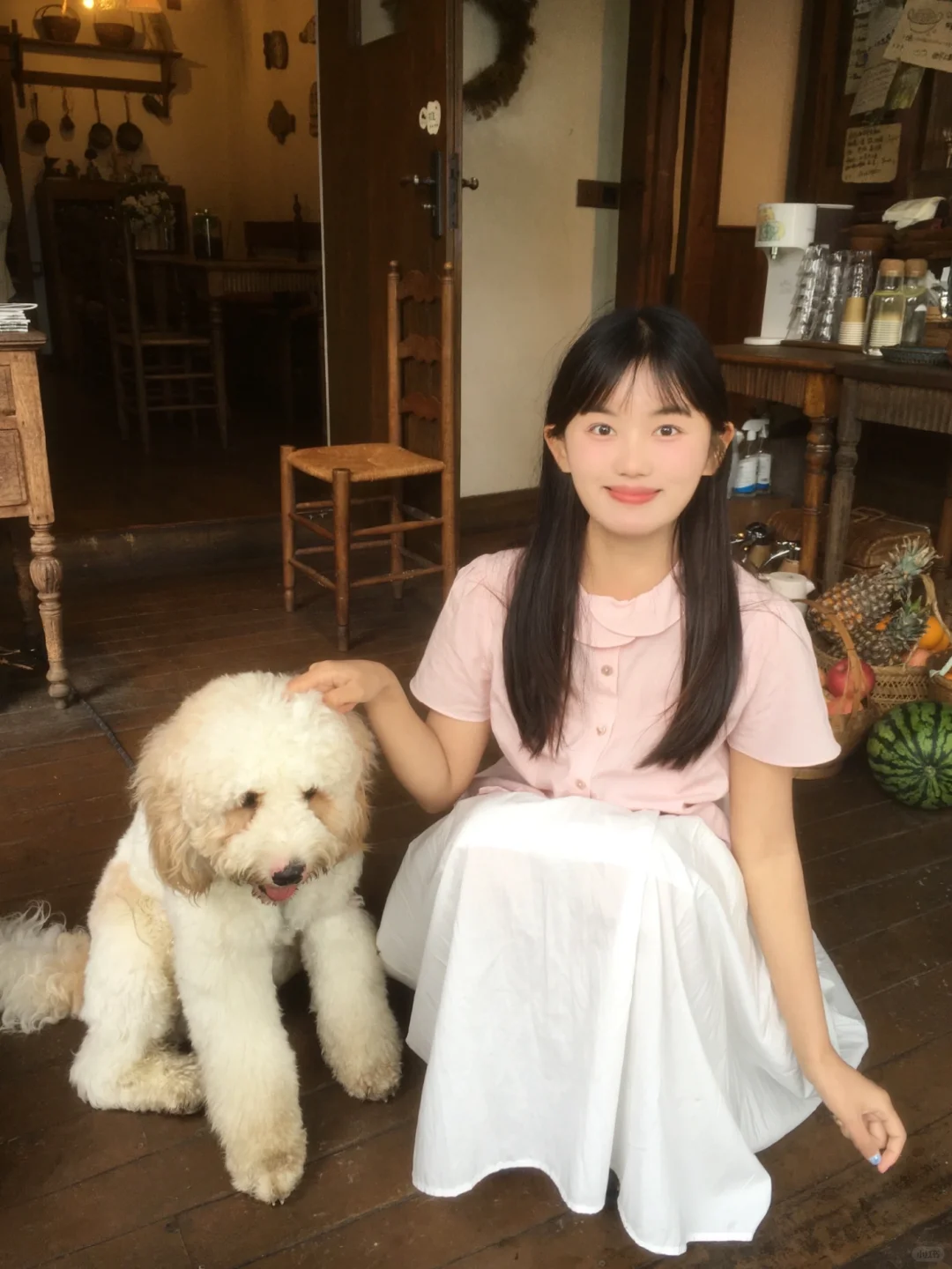 小狗拯救世界🦴˶>𖥦<˶