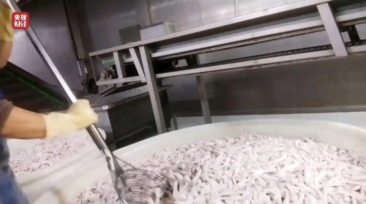 315晚会   315 曝光：用高浓度双氧水漂白 + 脏乱车间 + 污水浸泡，越