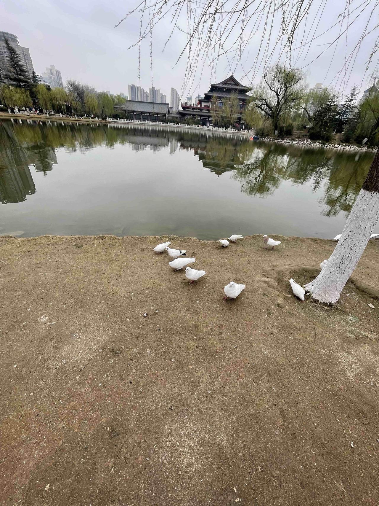 放下昨天以前的一切，只看今后，活在当下，活一天，就快乐自由一天！只要我今天有口气