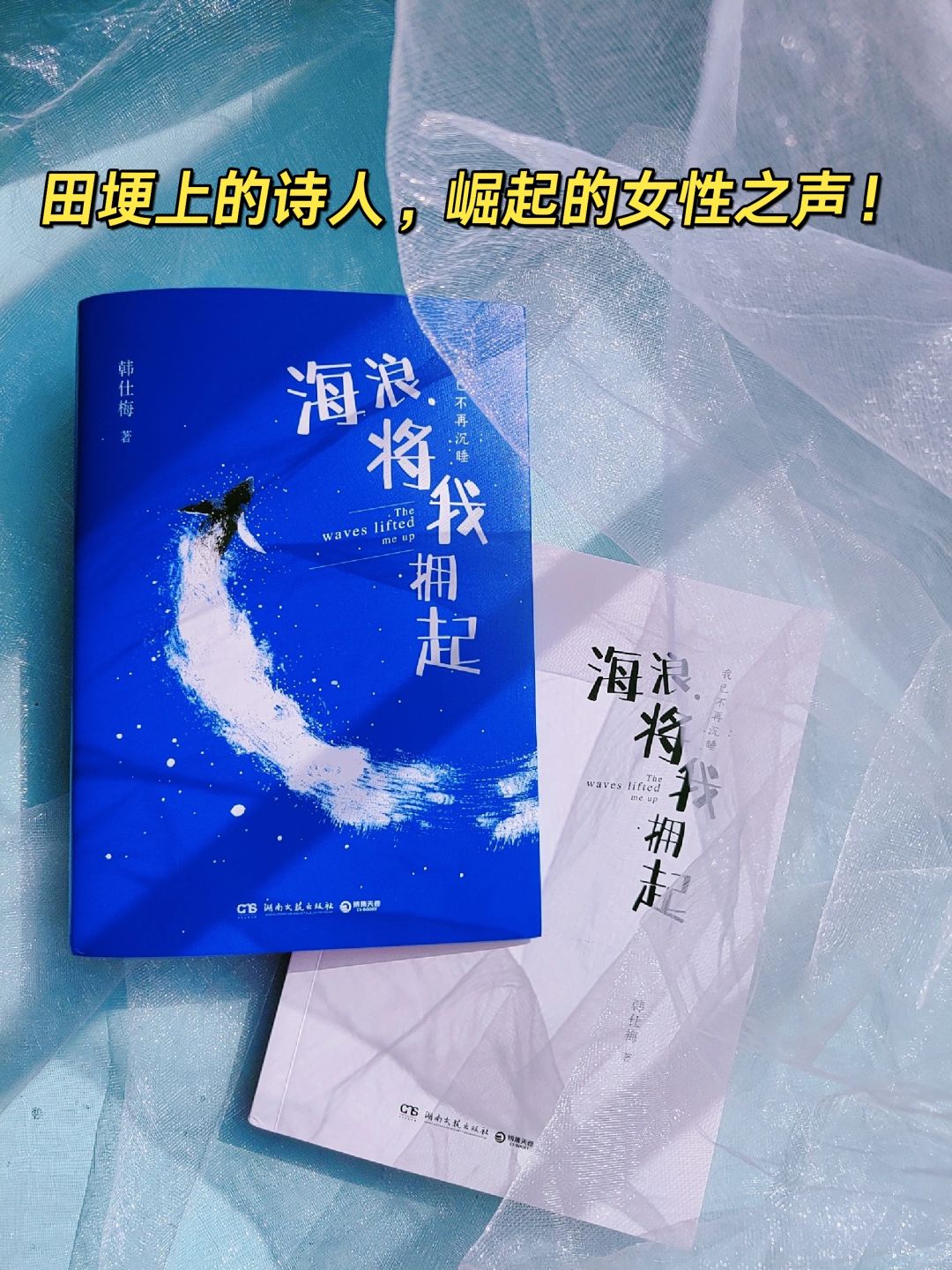 那一年，3000元钱，母亲将我卖了。