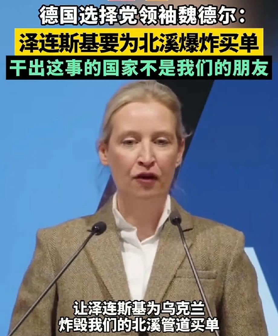 德选择党：泽连斯基要为北溪爆炸买单 德国政坛因为北溪爆炸案炸开了锅！德国选择党党