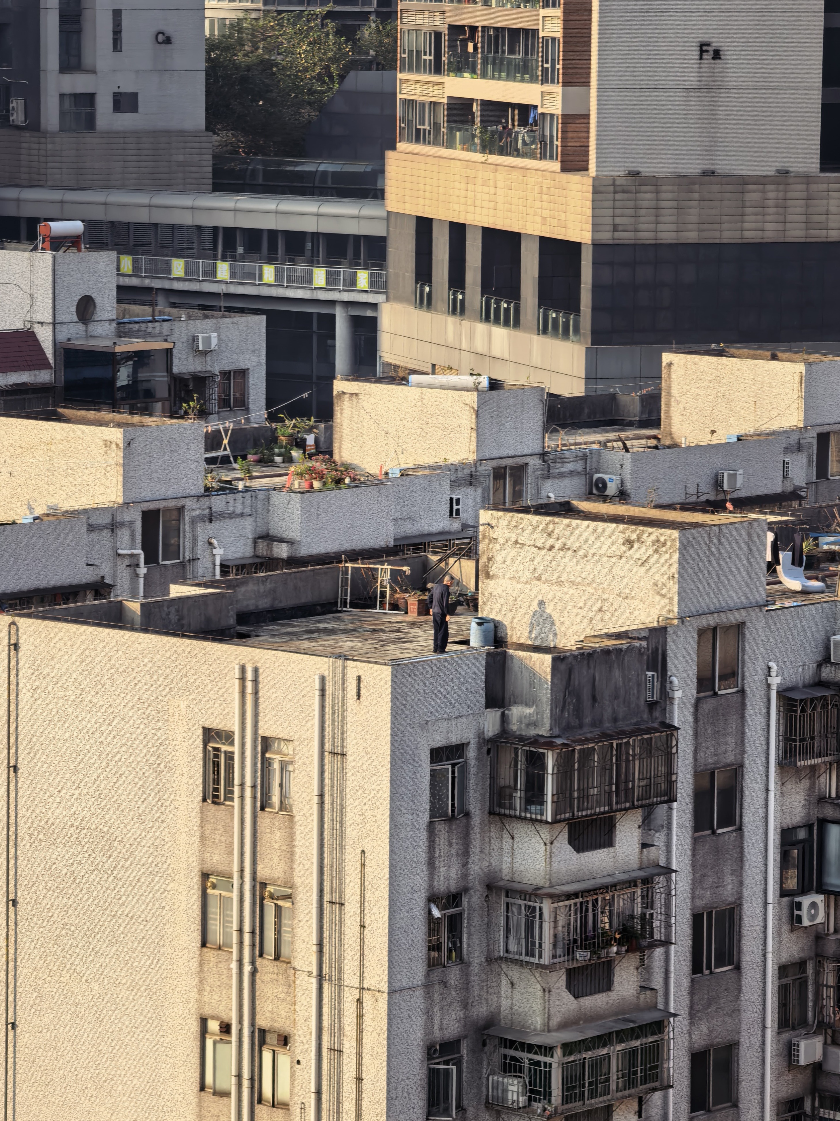 早上好，南方这天儿太舒服了，这都12月份了啊