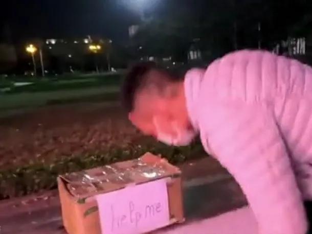 关爱小动物：这是网友在下班的路上，发现路边长凳子上有一个纸箱，上面写着英文，也不