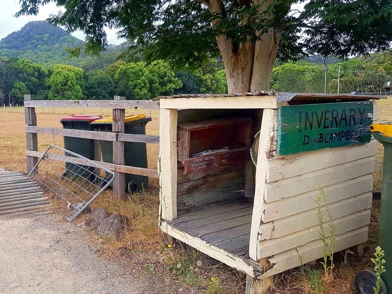 驻日美军岩国基地又出幺蛾子，毒蜘蛛“疑似外溢”闹得人心惶惶。就在山口县的这所学校