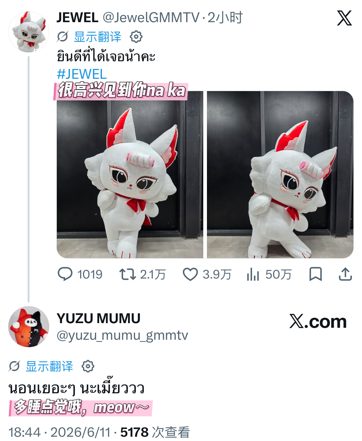 FirstKhaotung  热情欢迎新小朋友的猫～mumu哥哥的经验就是：小朋