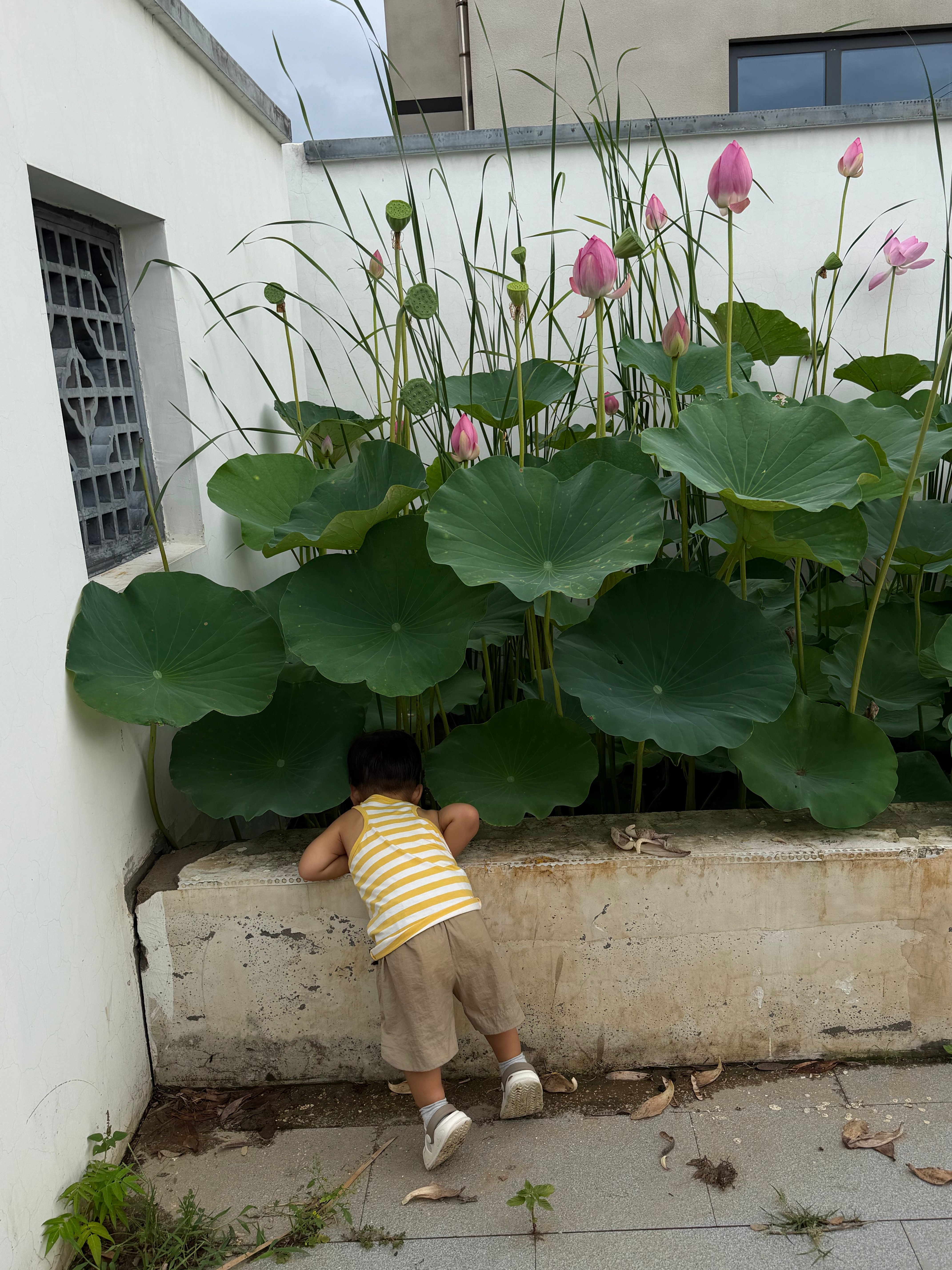 西瓜味的夏天🍉 