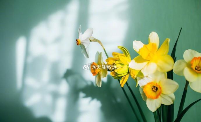 踏实做好手头事，
在自己的节奏里稳步向前[微风] ​​ ​​​
早安！[太阳]