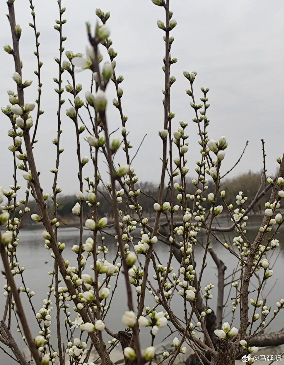 2026年3月22日，这天是春分后的第二天，大地回春、寒气渐褪、春意渐浓，很快就