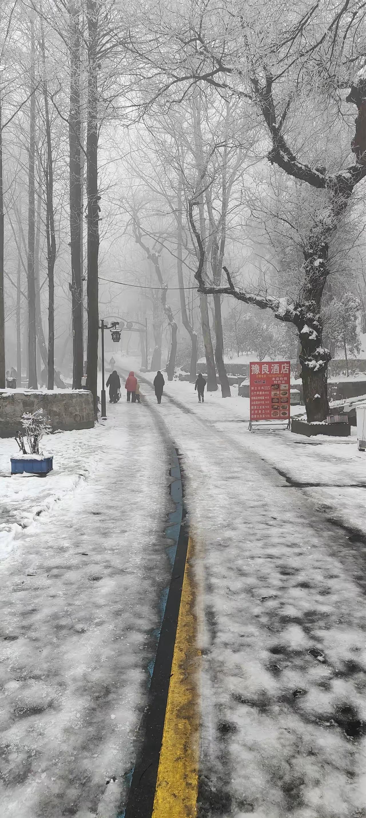 雪景美如林海雪原👍