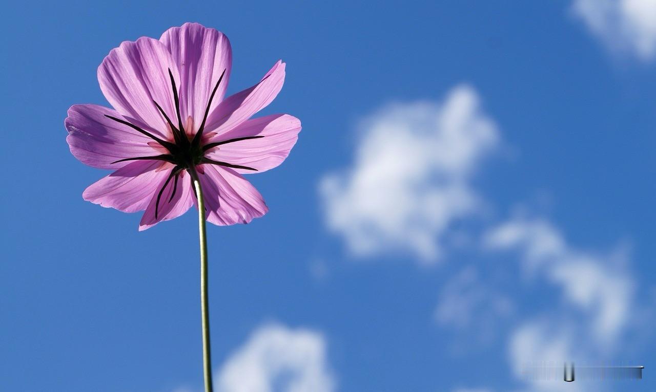 步履不停，山河入目。每次出发，都喜欢用镜头定格沿途的温柔与惊喜。

不必奔赴远方