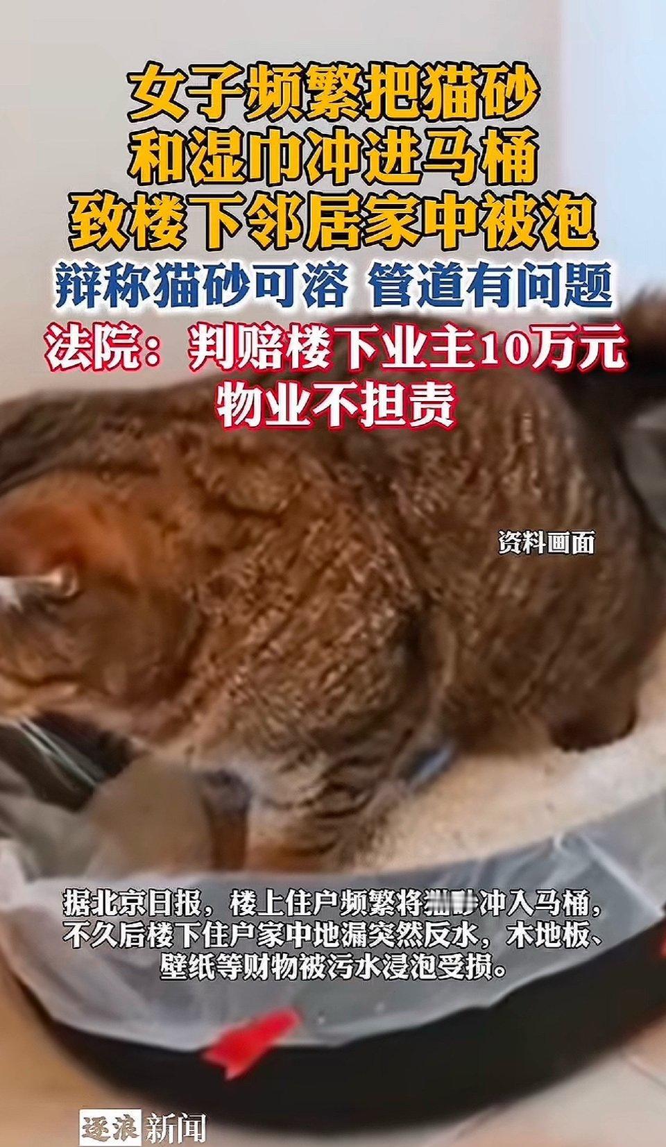 冲个“可溶解”猫砂居然赔了十万多？这事儿真给所有租房住、养宠物的人提了个大醒。北