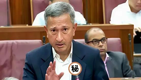 新加坡急了。在东盟的会上，外长几乎是拍着桌子，让中国“尊重”马六甲的地位。翻译一