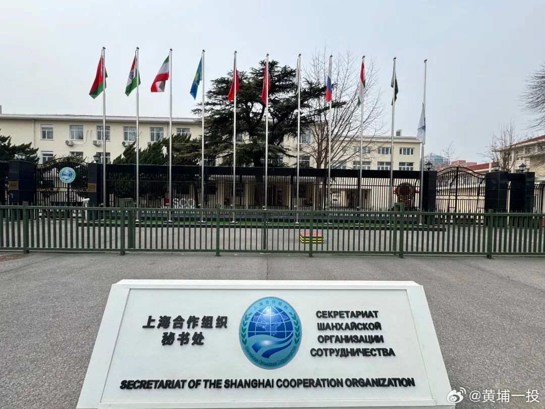 【上合组织发表关于伊朗局势的声明 呼吁各方保持克制】上海合作组织（以下称“上合组