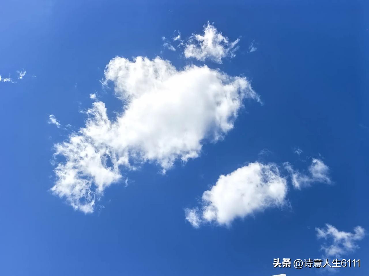 当然重要。老了有伴，不仅是生活上的互相照应，更是精神上的相依为命。
有伴在身边，