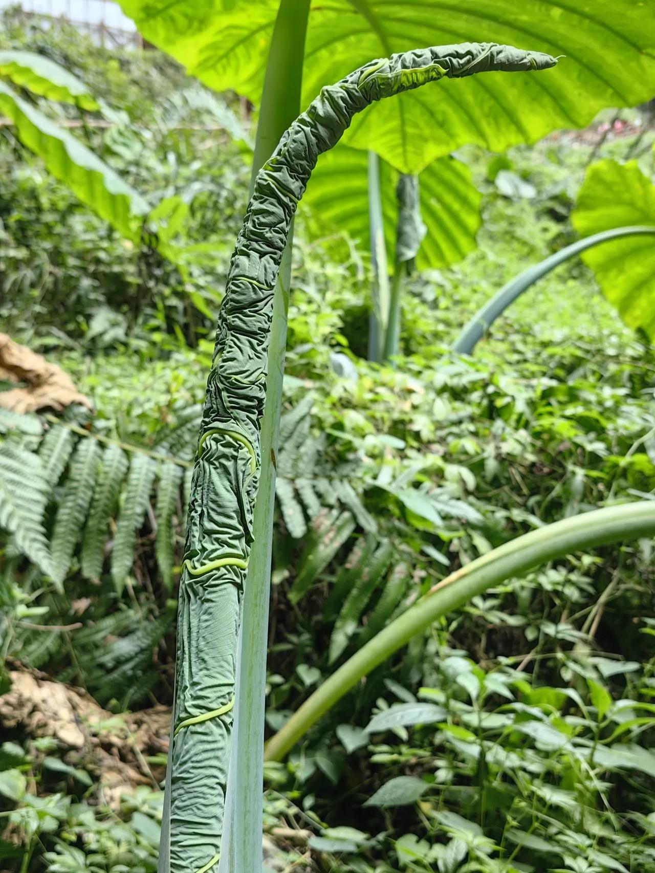 分享一张你在山里的照片