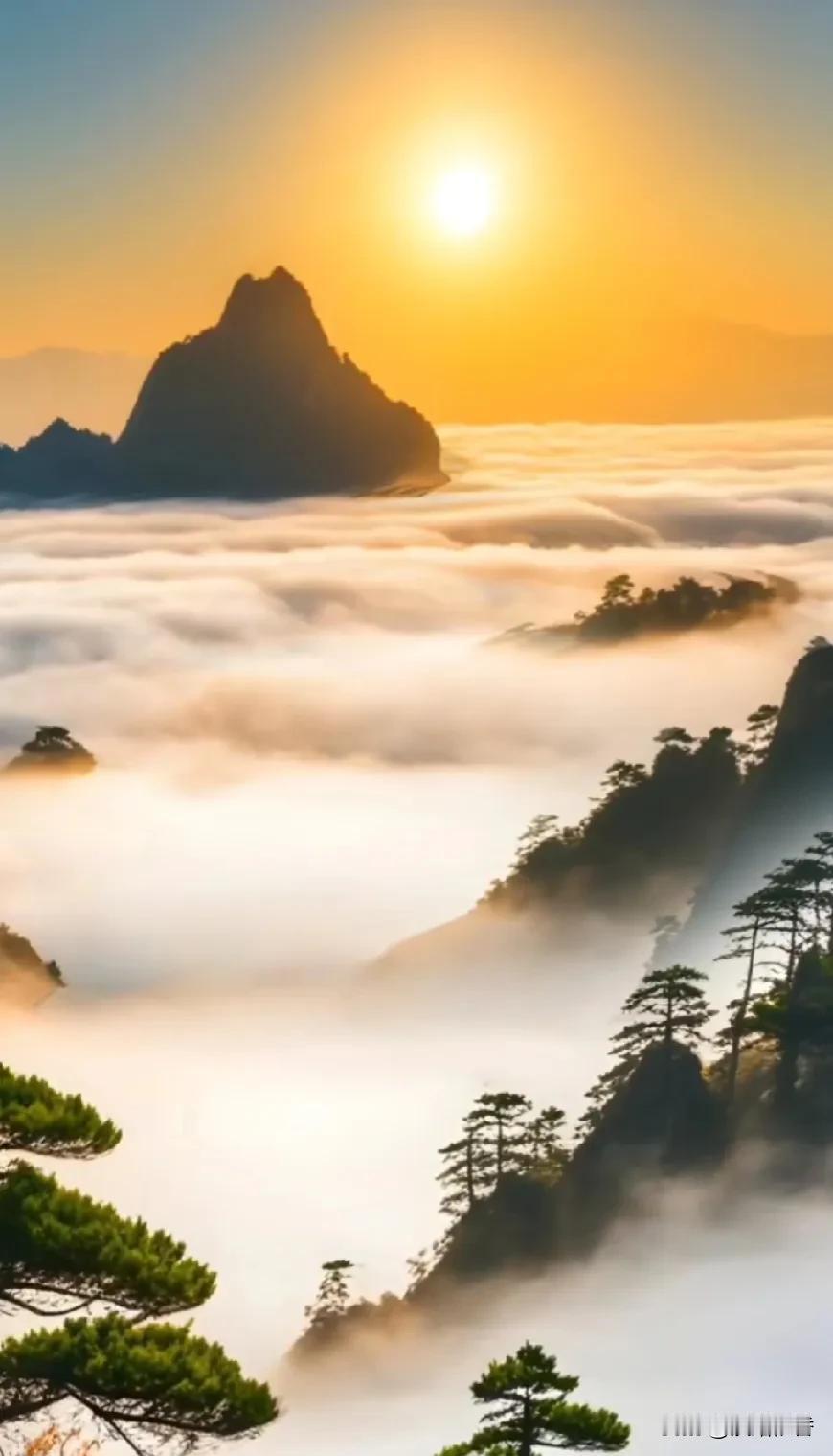 #一句话分享秋日感悟#
晨曦初露，金辉洒满山川，
万物苏醒，风景如画，心归宁静。