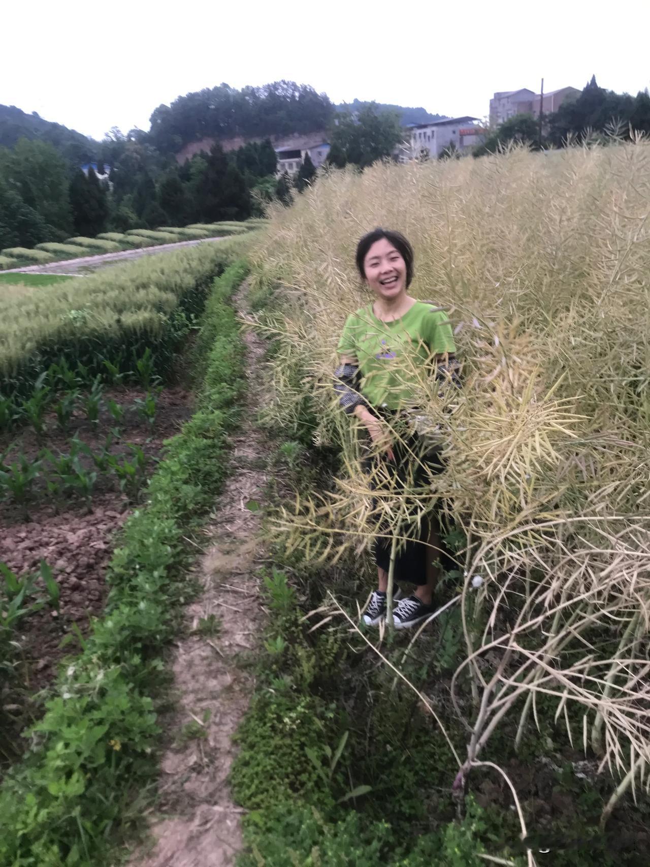 [呲牙]下午搬一筐蜂蜜借邻居房子拍照片
她家在割油菜，自告奋勇去地里帮忙
看这身