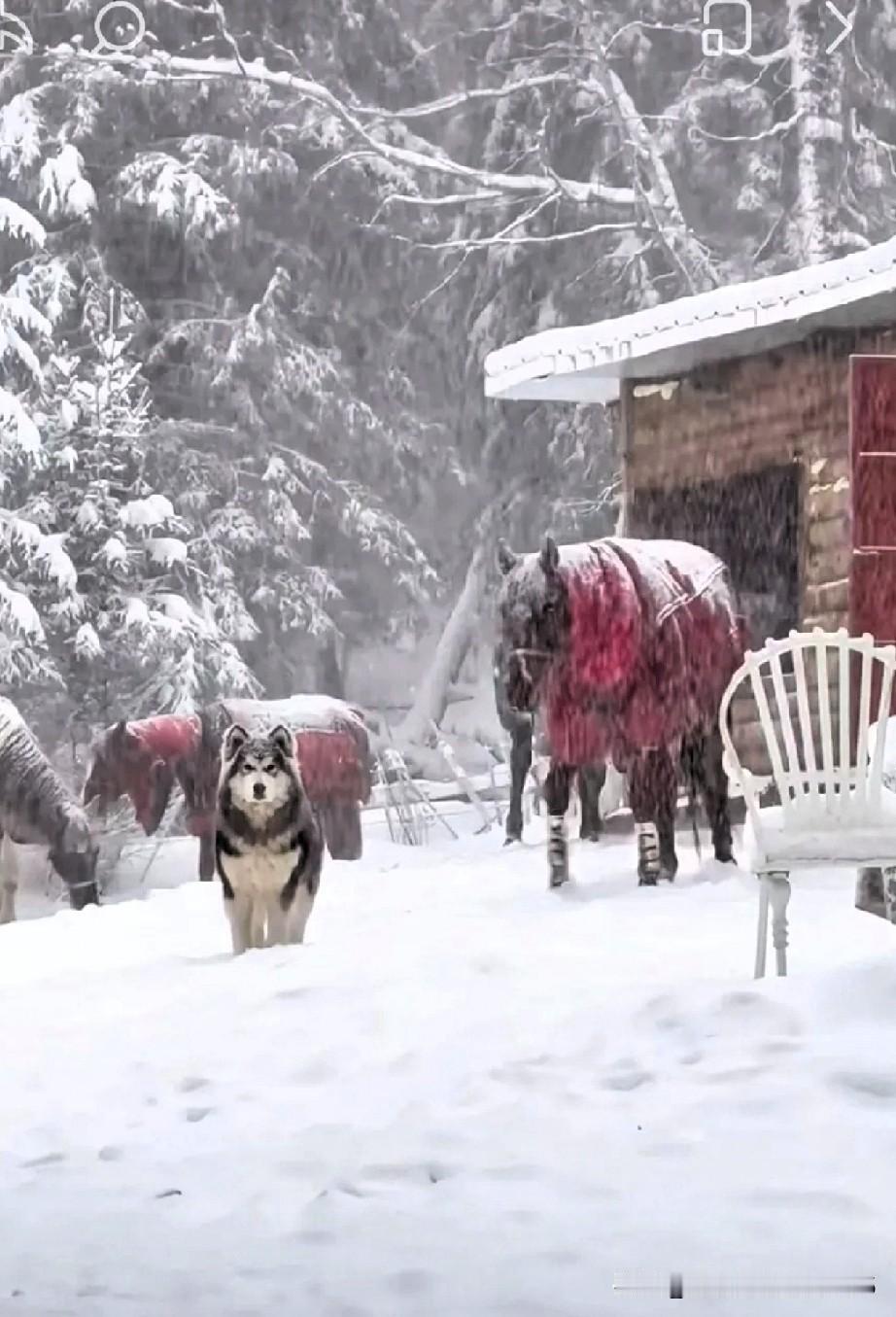 今天是正月初十，老辈人最讲究看天气，说这天的阴晴能预兆一整年。

老话讲，初十下