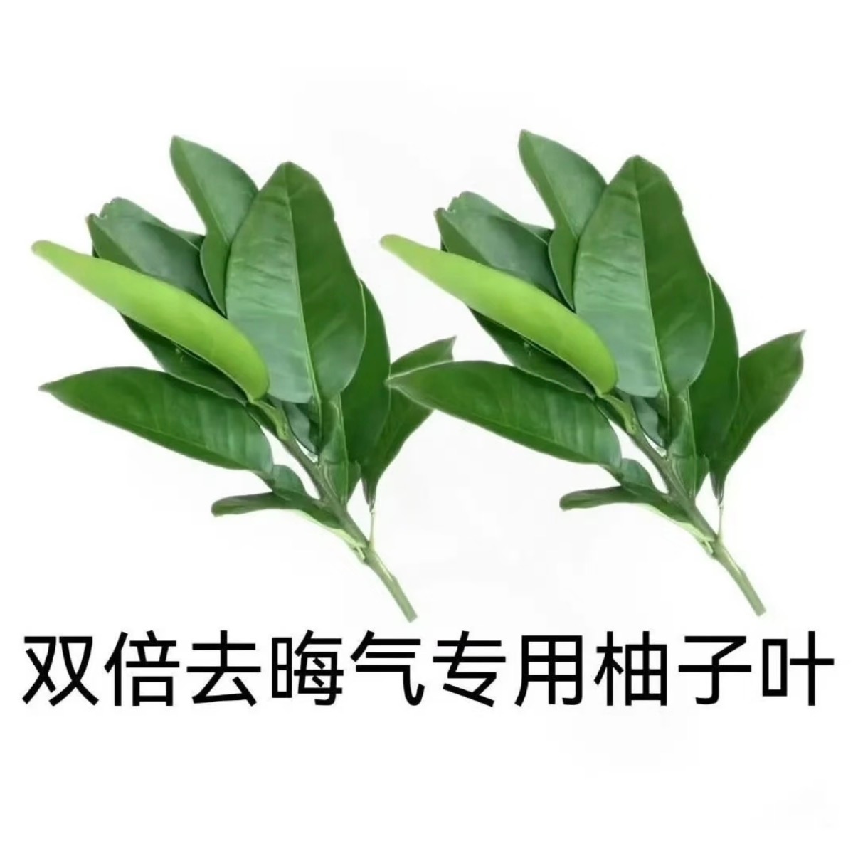 终于知道7🈷️忘记什么了 补上补上 