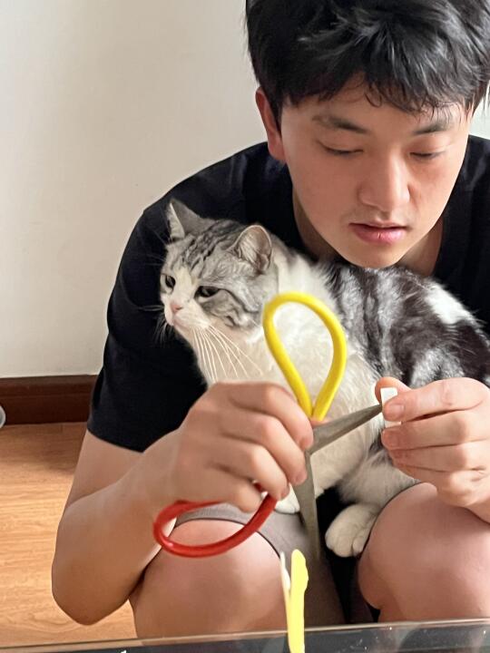 小小一只 弱小且无助
