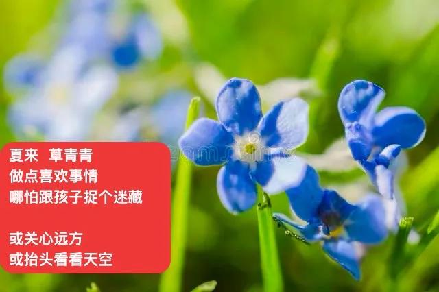 敞开自己吧
交给夏季风吹拂
．
一路花开看花
有人走来
结伴同行