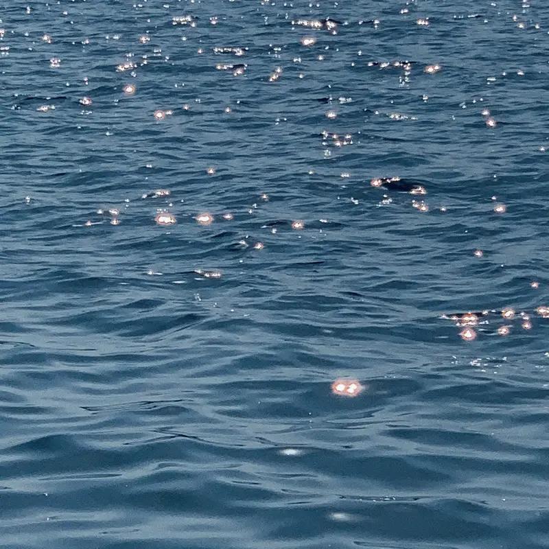 “你无法从喧嚣中走向澄明，只能在深沉的静默里找到自己的回音。”

     这句