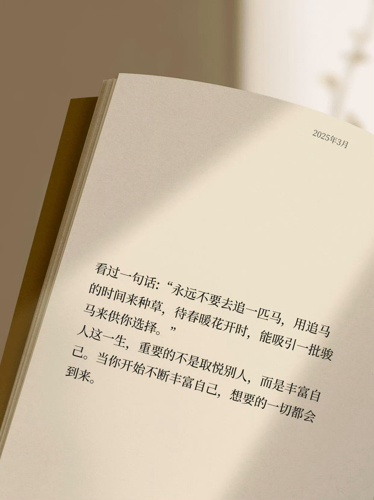 “永远不要去追一匹马” 