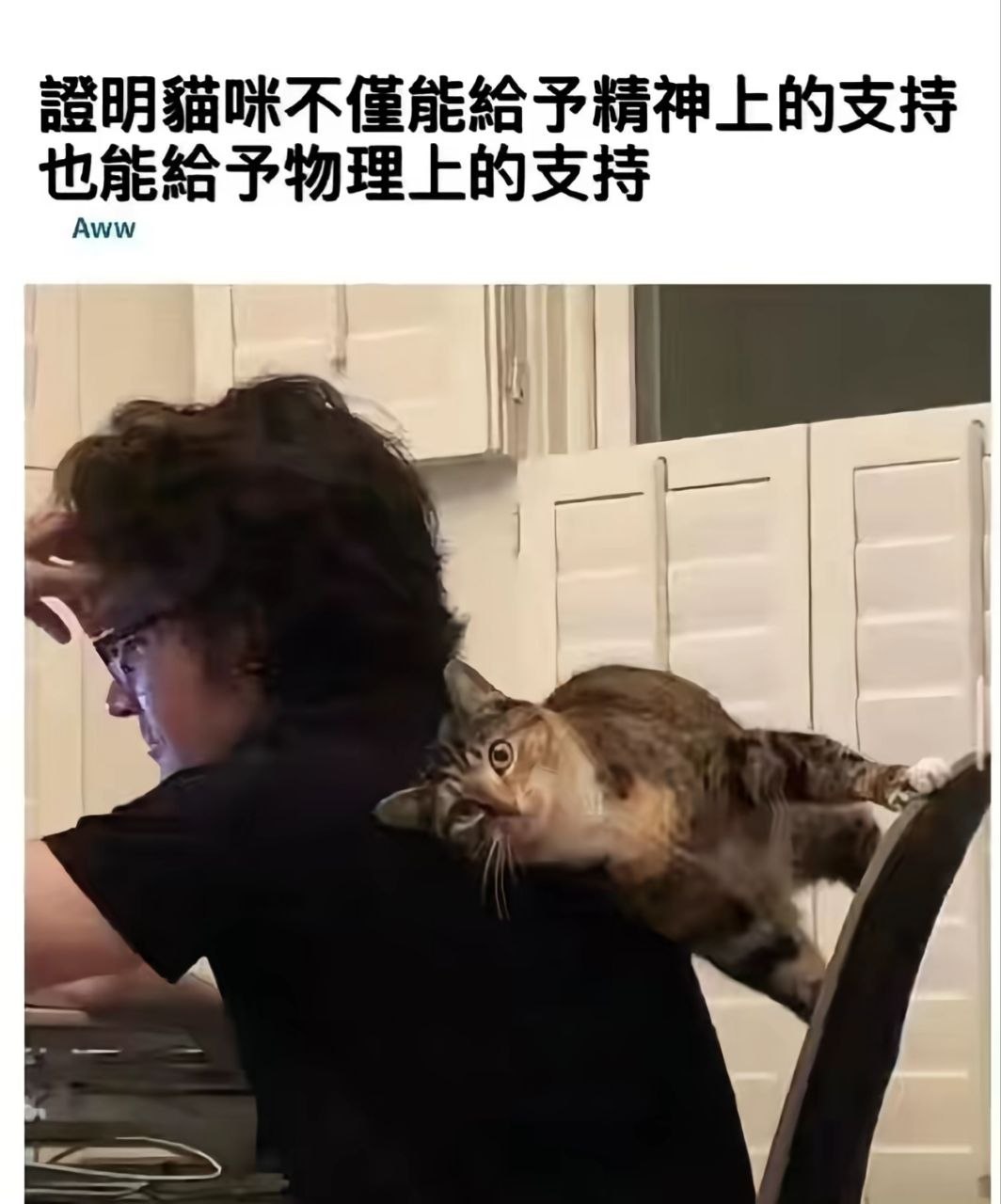 字面上的支持 