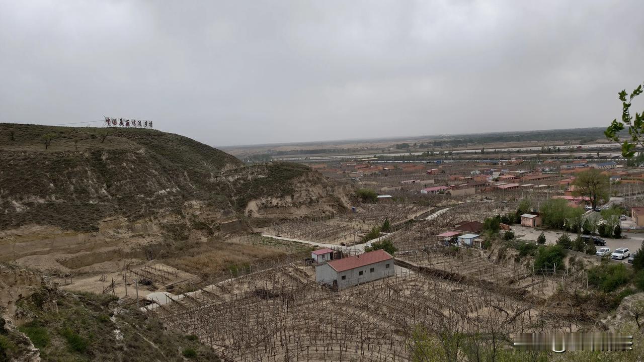 下面密密麻麻种植的是葡萄，这个地方叫中国美丽休闲乡村——郝家窑。戳这里，一起来集