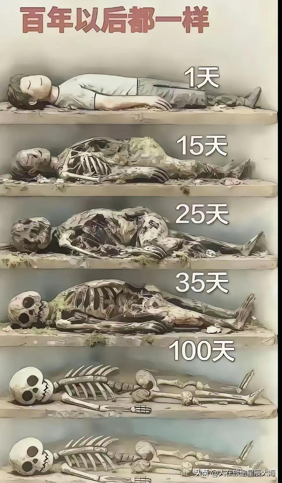 你相信人死了会变成鬼吗从一些灵异怪谈网络小说或影视作品里常有描写人死后变鬼的故事