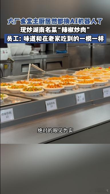 大厂员工回应炒菜机器人厨艺 质疑AI快速落地的合理性，在就业保障不完善的当下，过