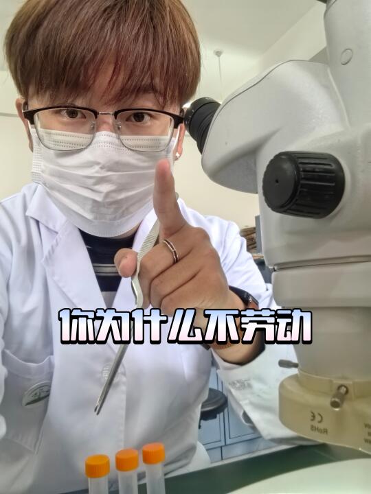 劳动节就是要劳动的呀