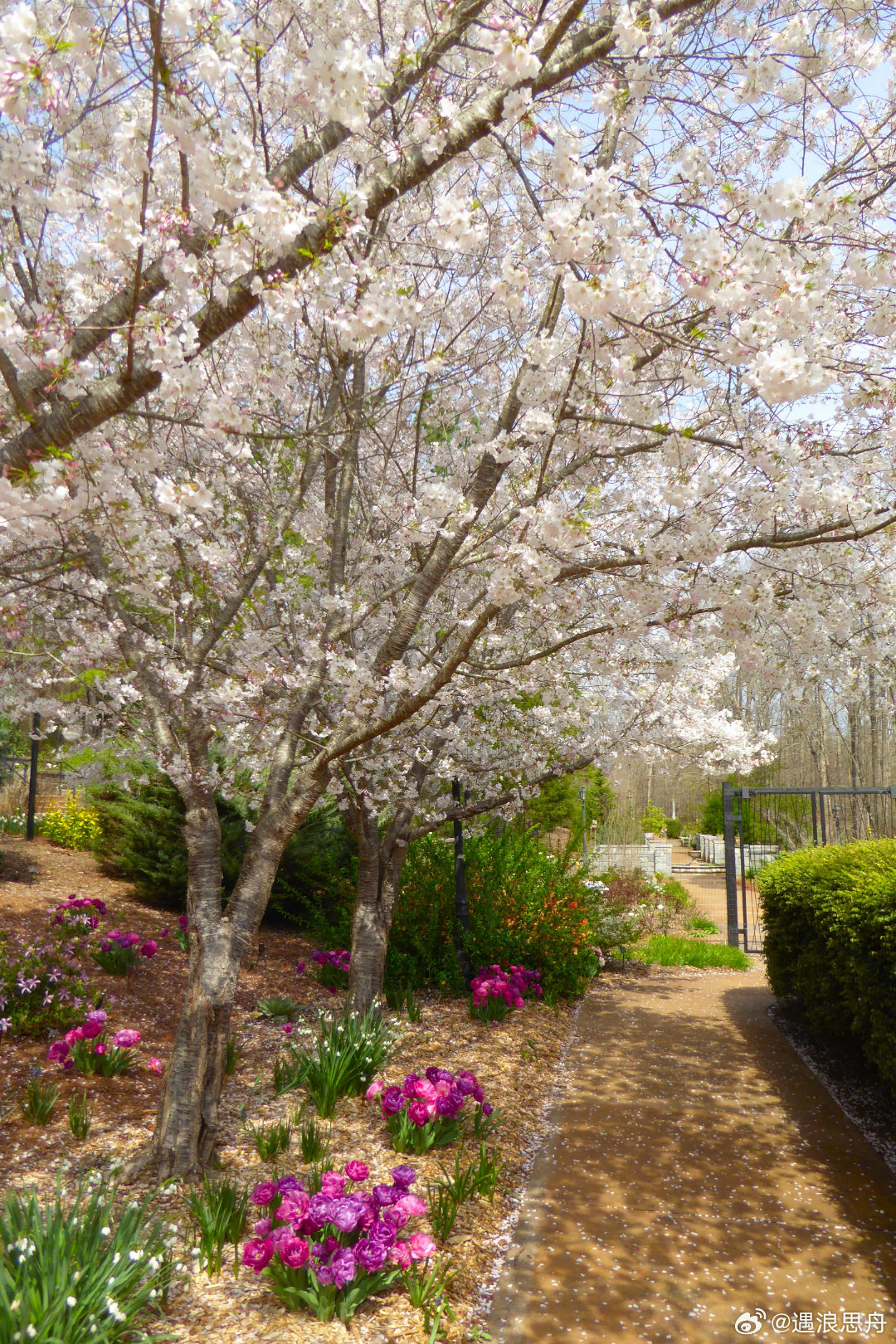 低精力人群的周末安排belike出门走走吧，不是健走，也不是旅行，就是散散步。纷