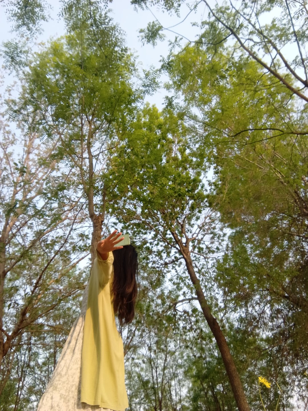 好喜欢春天和夏天