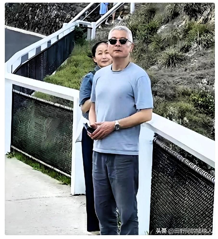 一张澳洲海边的偷拍照，直接把无数中年人的体面给撕开了。

看到陈瑾和巫刚在澳洲海