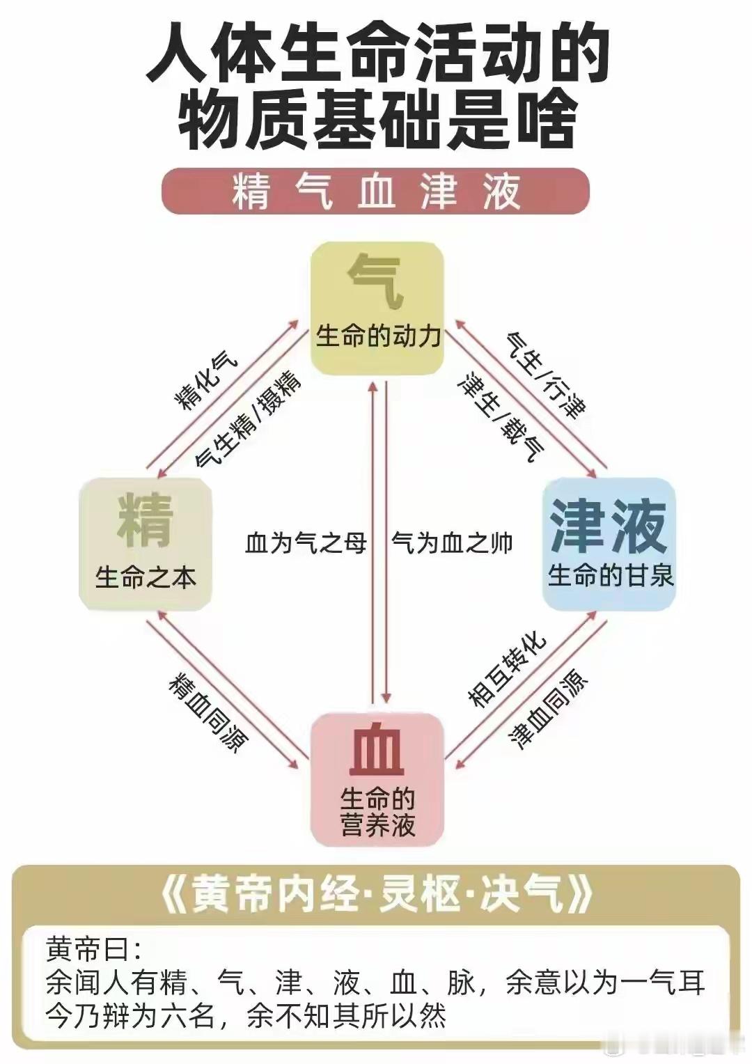 每日一剂名方：开心散——益气安神的解郁良方聚焦专为“心气虚衰、情志郁滞”所致心神