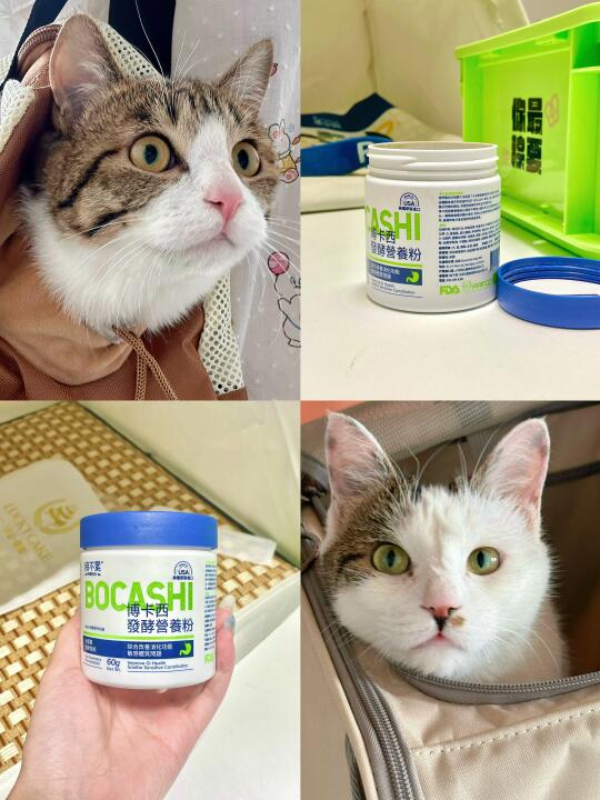 猫咪钢铁胃是如何养成的