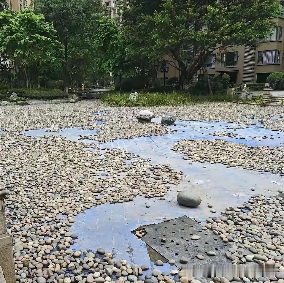 西安有个小区，业主嫌青蛙吵，睡不着觉。

物业一拍大腿，想了个绝招：把池塘水抽干