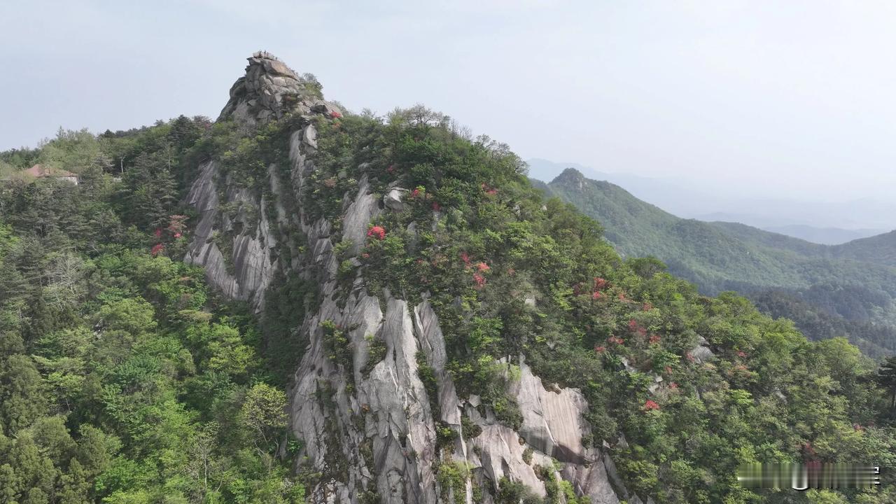 晒晒你相册里最新的一张风景照鸡公山杜鹃花开