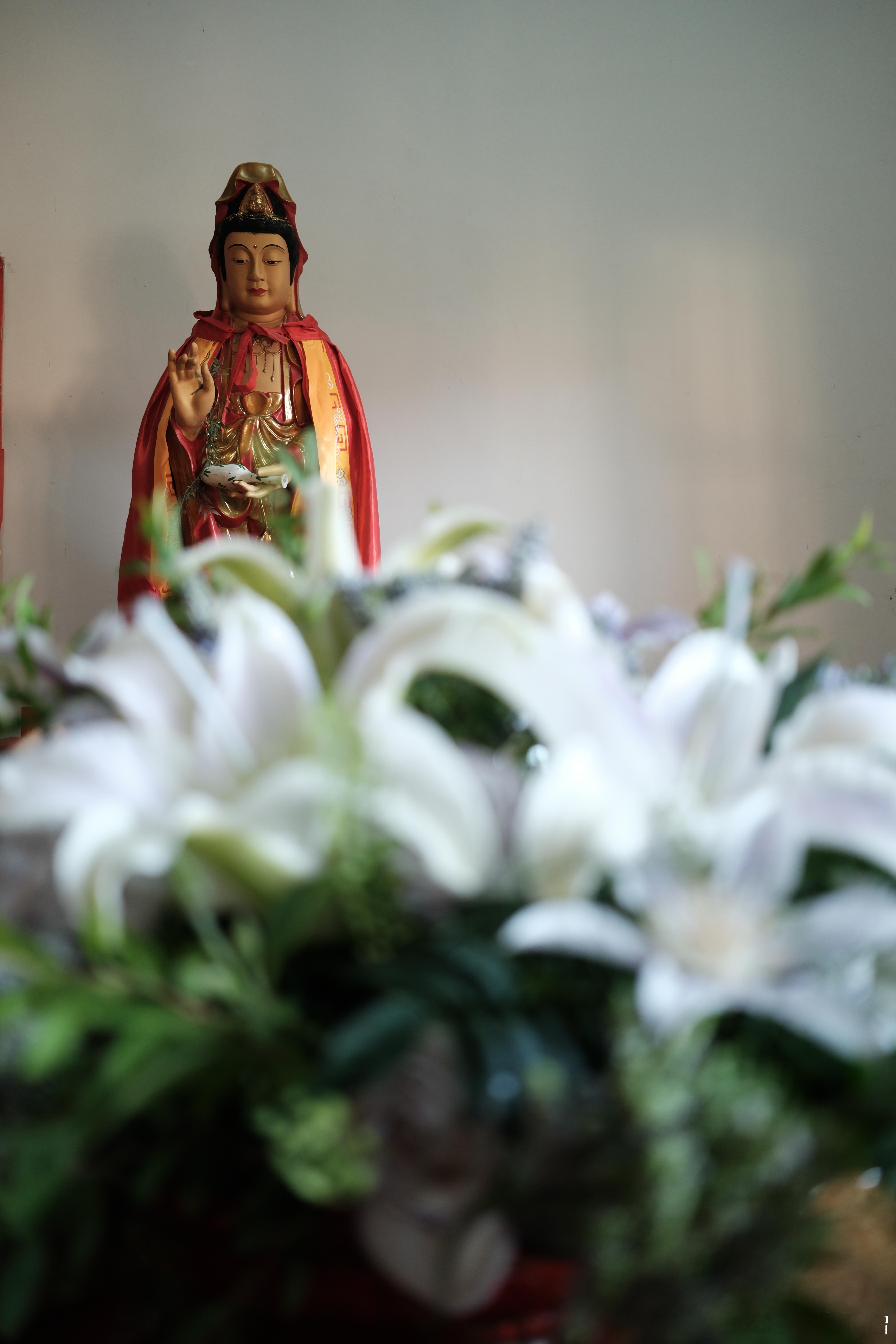 佛教  师父说：与磁场干净之人同行，是无声的滋养，无需多言，亦不必刻意靠近。 
