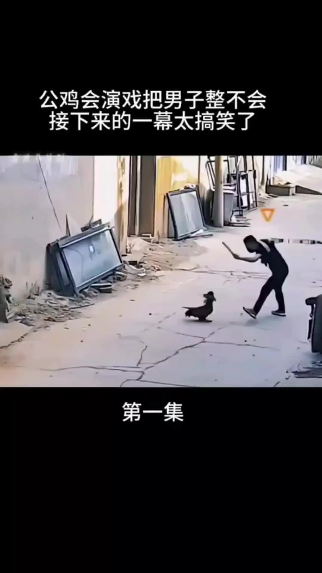 我的观影报告