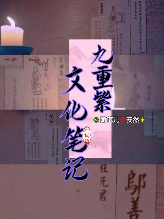 用高考的劲头二刷九重紫 ｜昭示录教会我的事