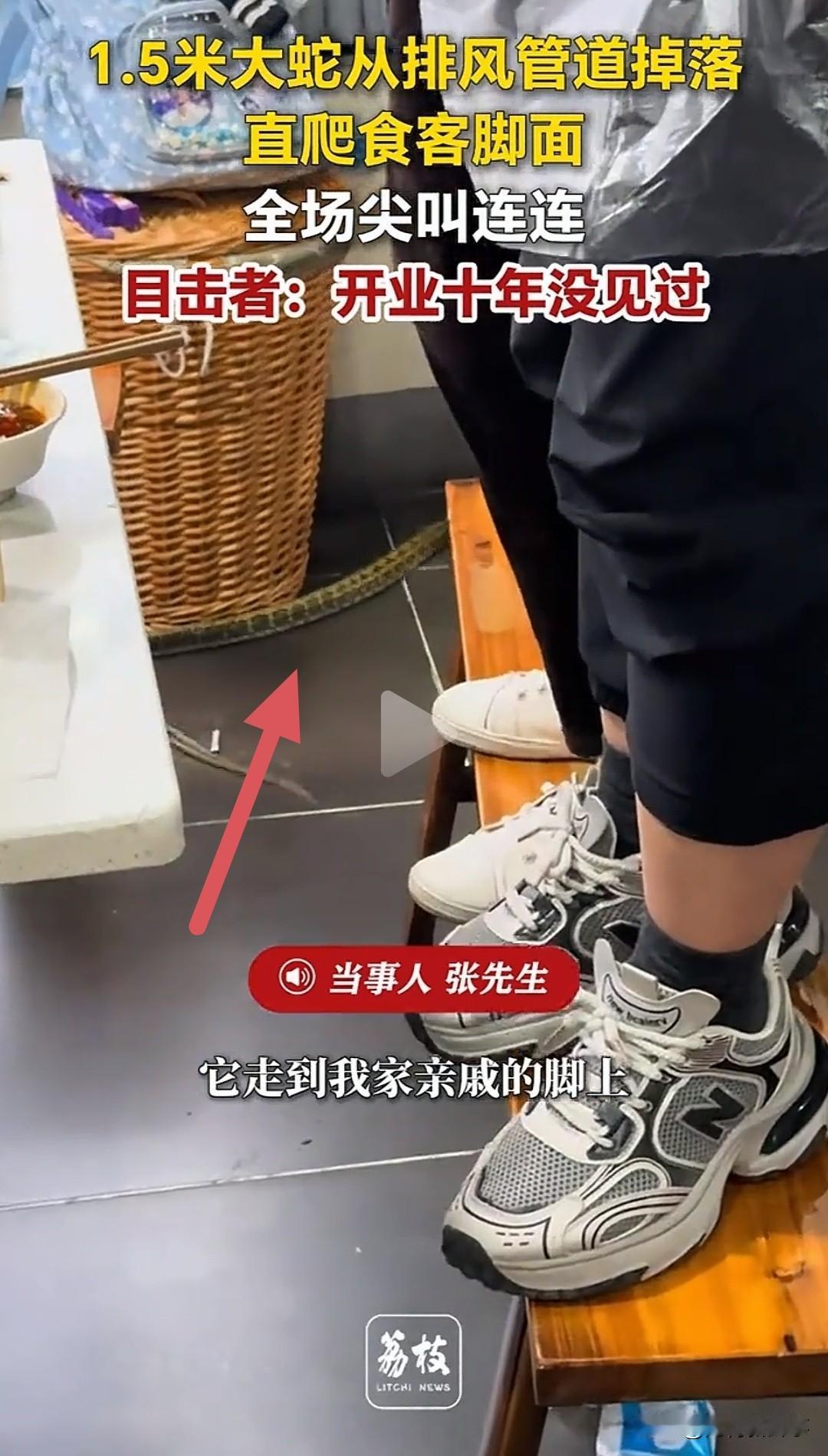 吃火锅最怕吃到异物，可四川这家店的顾客，直接从头顶掉下来个"活物"。

没想到它