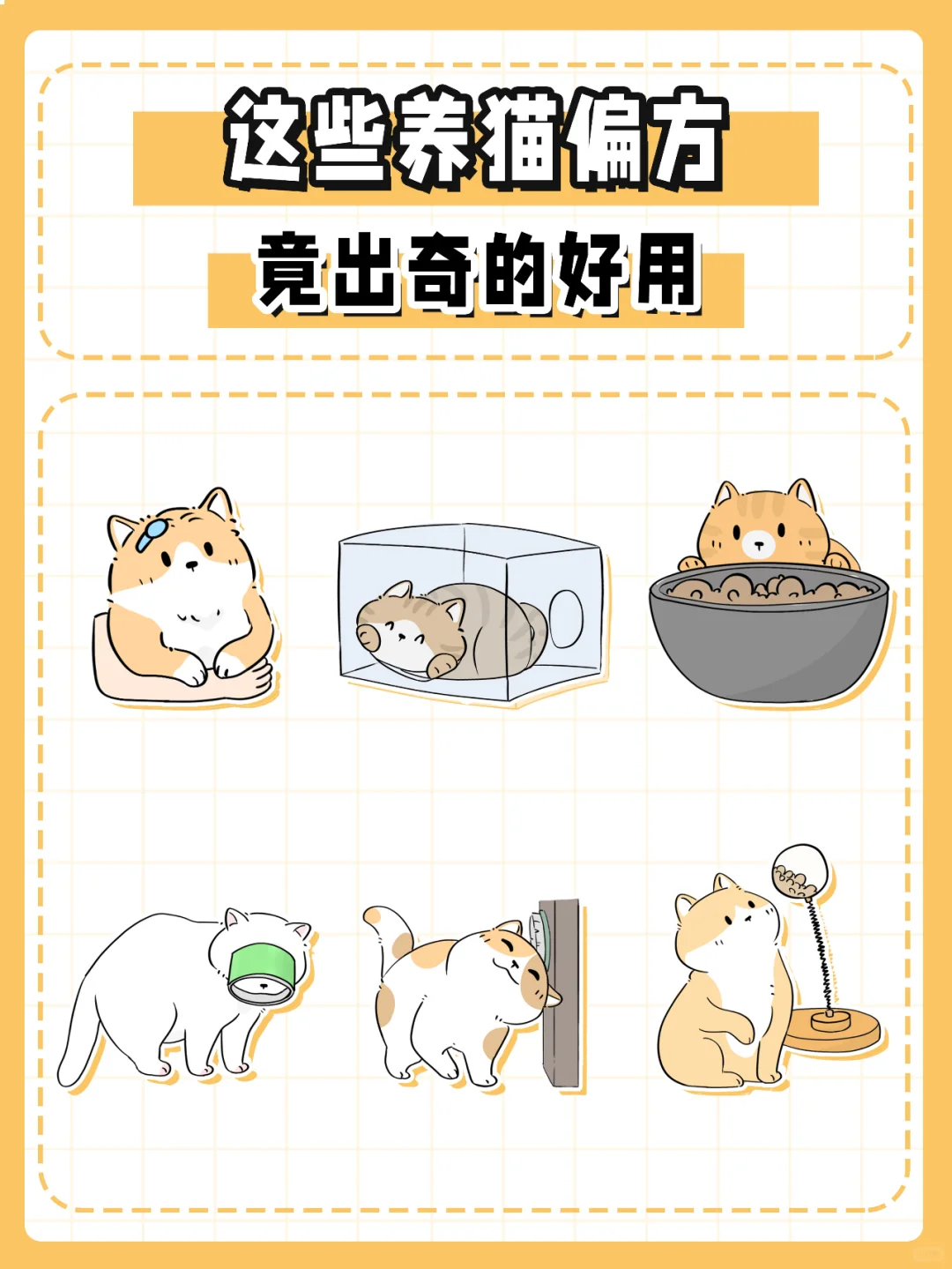 这些养猫偏方，竟出奇的好用