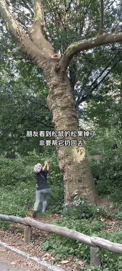 松鼠：你是个益虫！