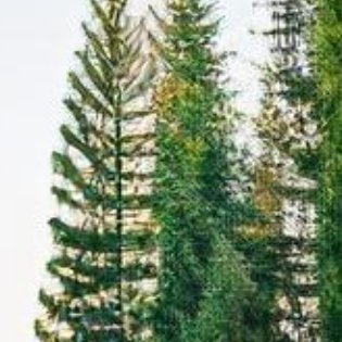 迪丽热巴迪丽热巴 dlrb迪丽热巴益起来热爱工作，投身事业，在这一过程中，抑制私